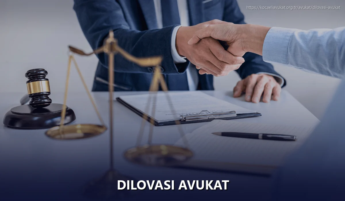 Dilovası Avukat